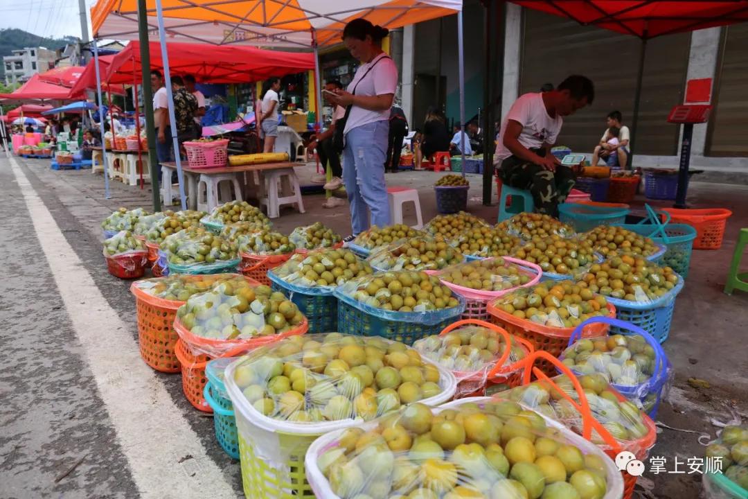 小李子为什么这么强,小李子大产业视频