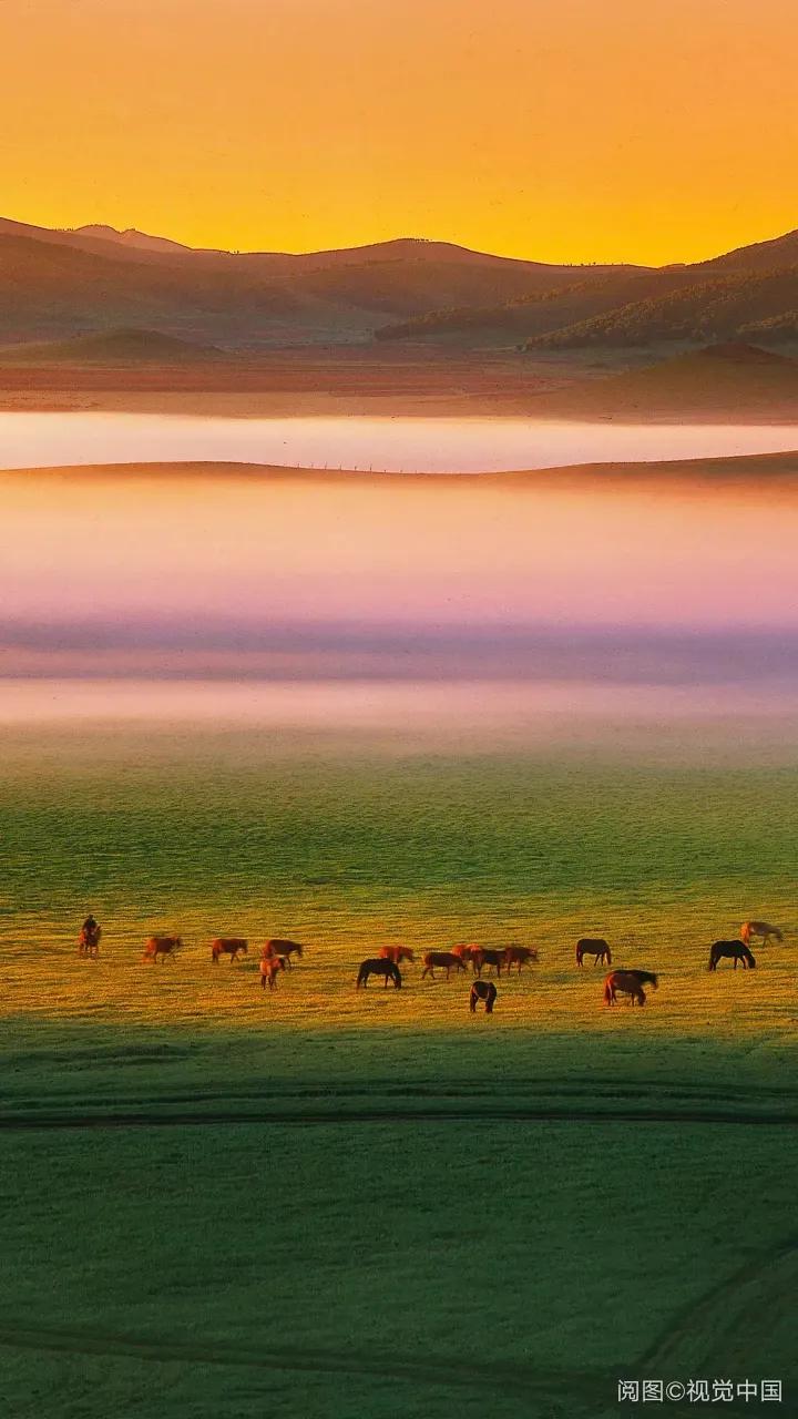 新交通法扣12分和吊销驾驶证,交通违规驾驶员扣分罚款