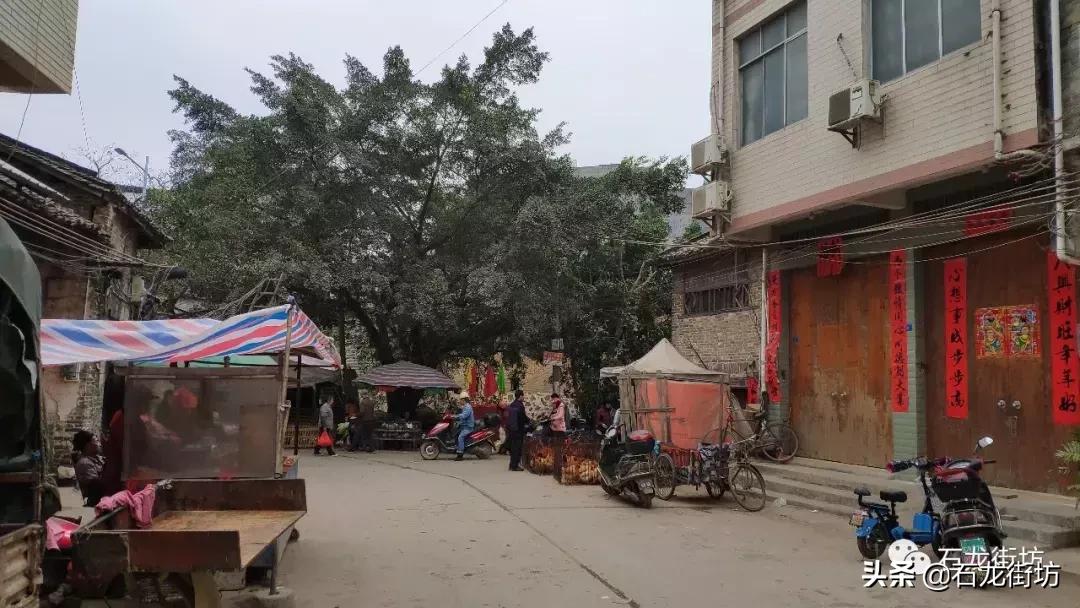 桂平探访古镇老街,桂平石龙老街的历史