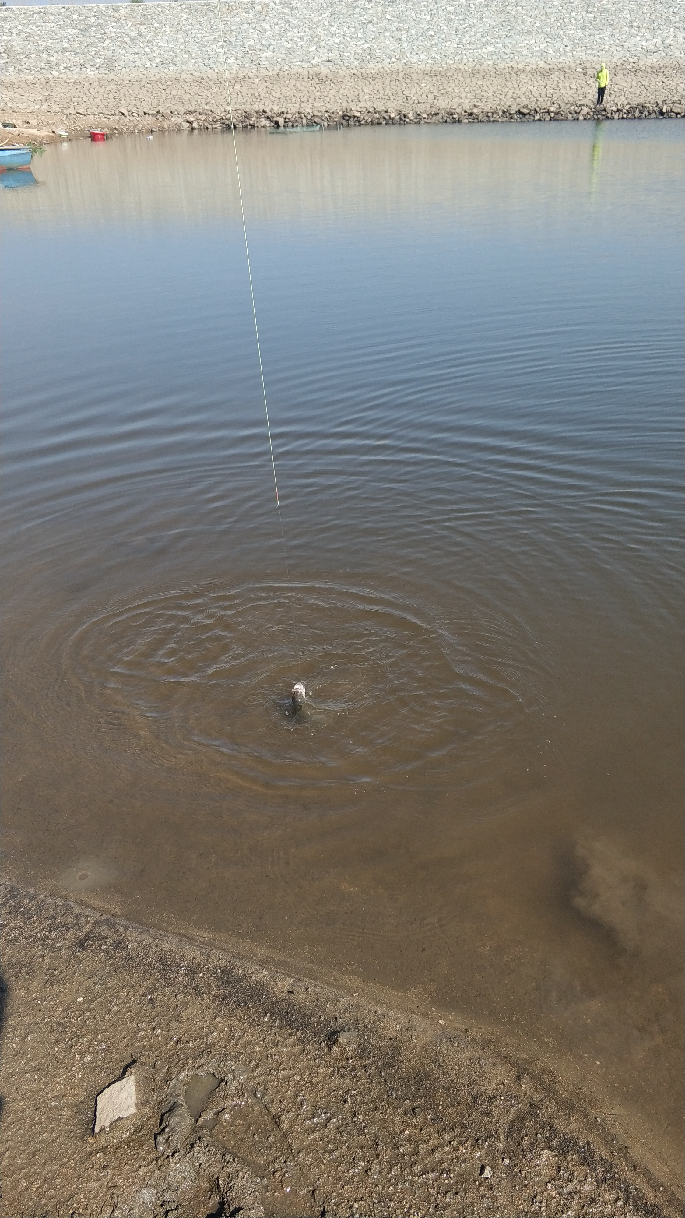 很惬意的路亚钓鱼,房车路亚野钓