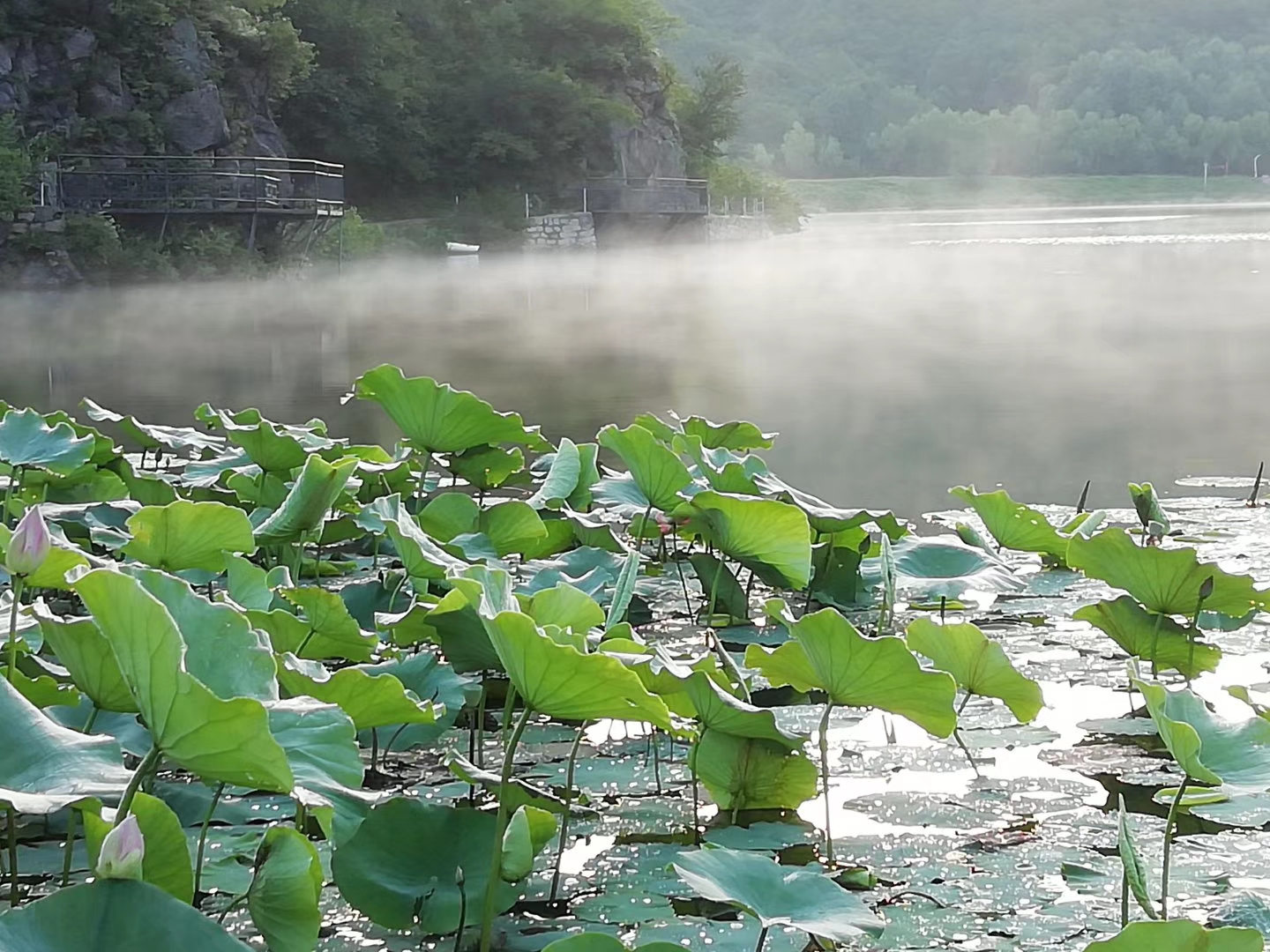 北京延庆周边野游有山有水,北京延庆山顶草甸