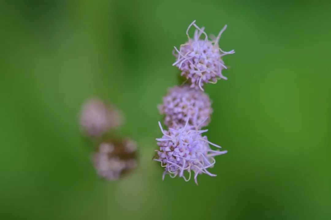 市民中心还有深圳灯光秀吗,深圳市民中心灯光秀2024时间表