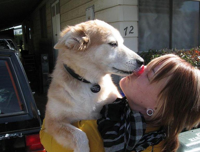 狗狗做了感人的事,暖心举动狗狗