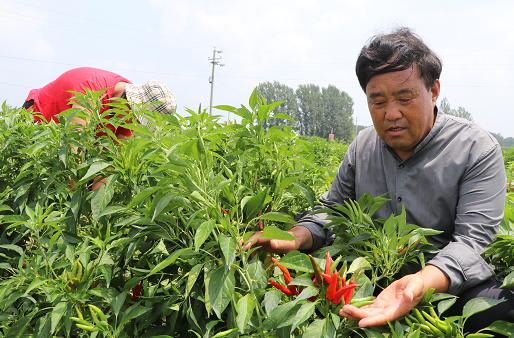 太康张永山最新视频,太康张永山图片