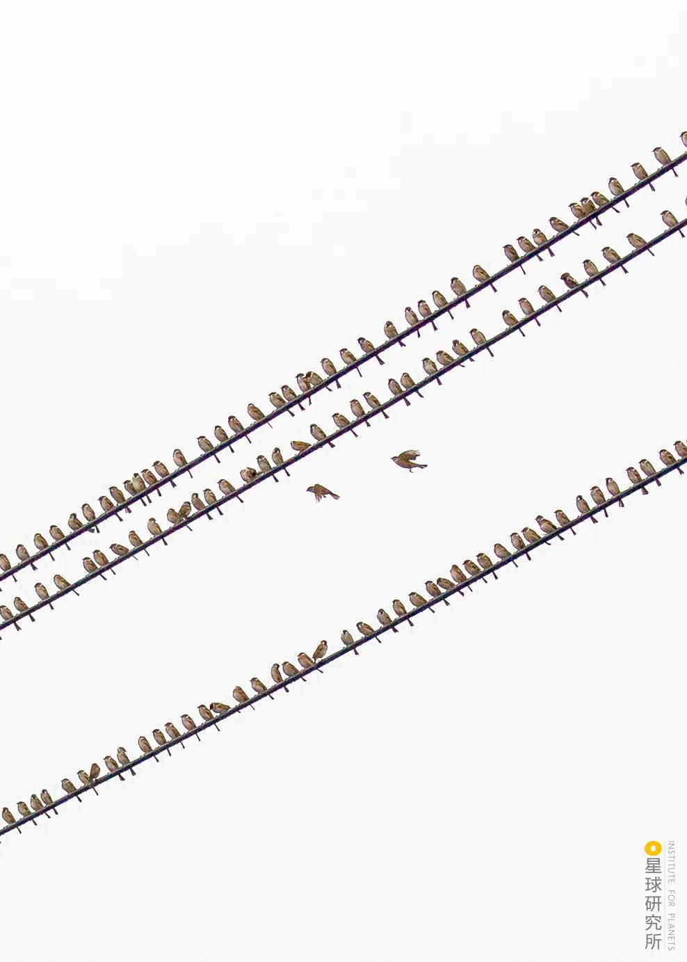 林草领域知识图谱,林草科普专业术语