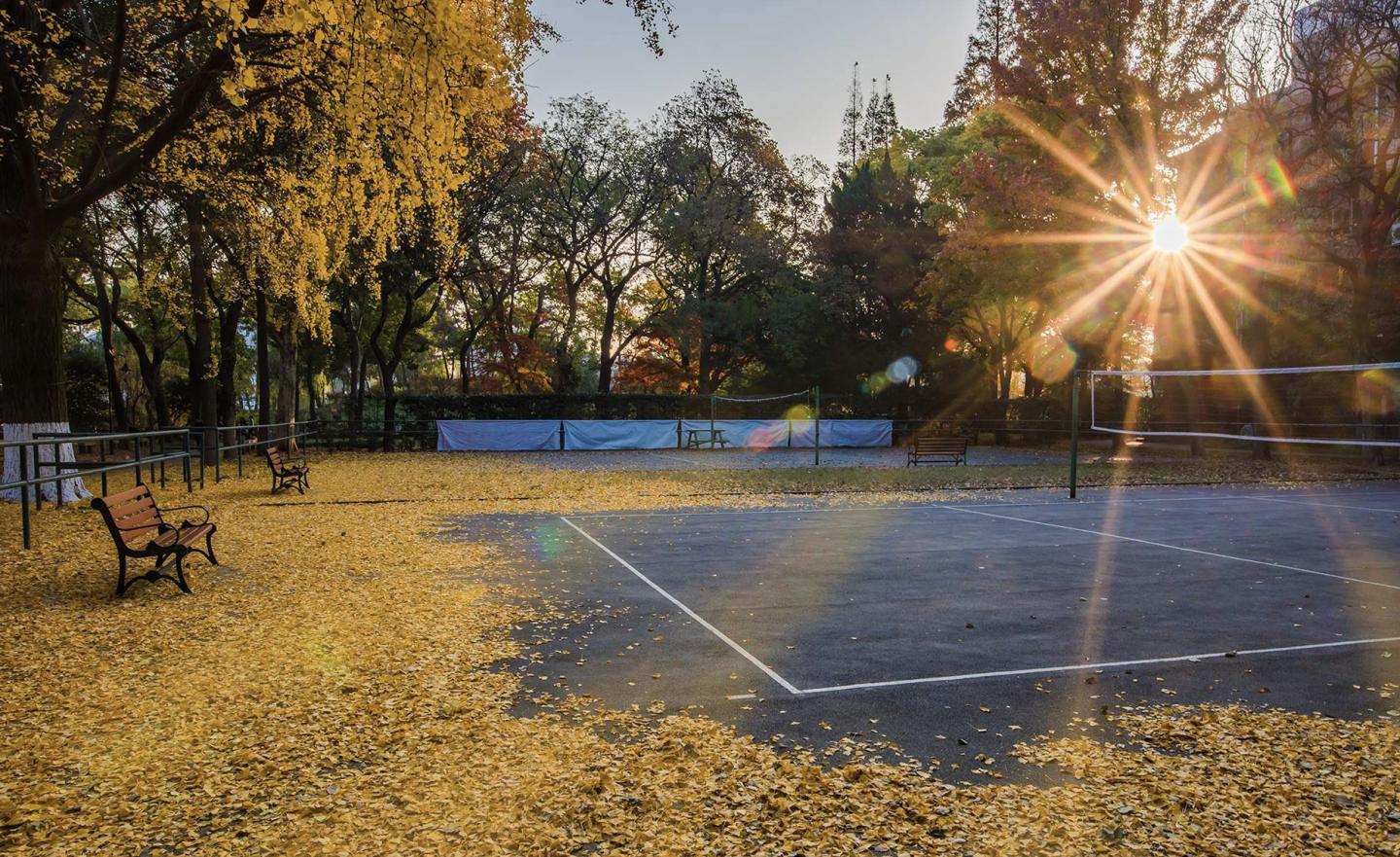 怎么在校园推广线下门店,如何让校园营销更具传播性