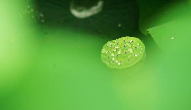 离婚后，女人想前夫了会怎么做，听听女人的心声