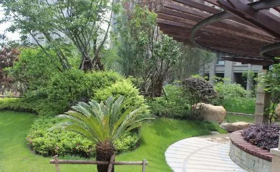 买什么样的学区房性价比最高,30年的老学区房值不值买