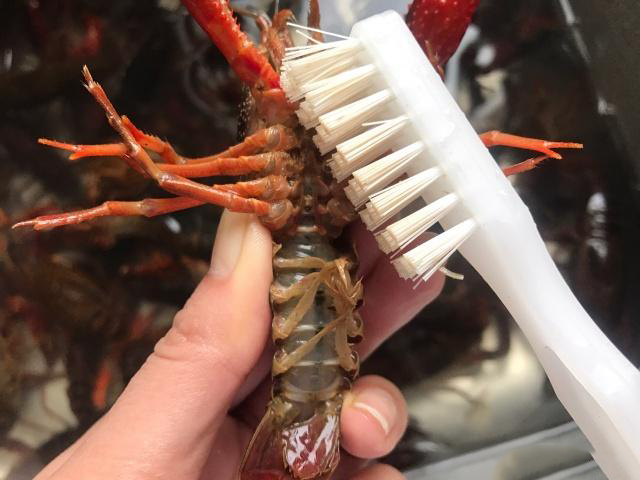 盱眙龙虾抽虾线吗,想吃新鲜海鲜没有虾线的盱眙龙虾