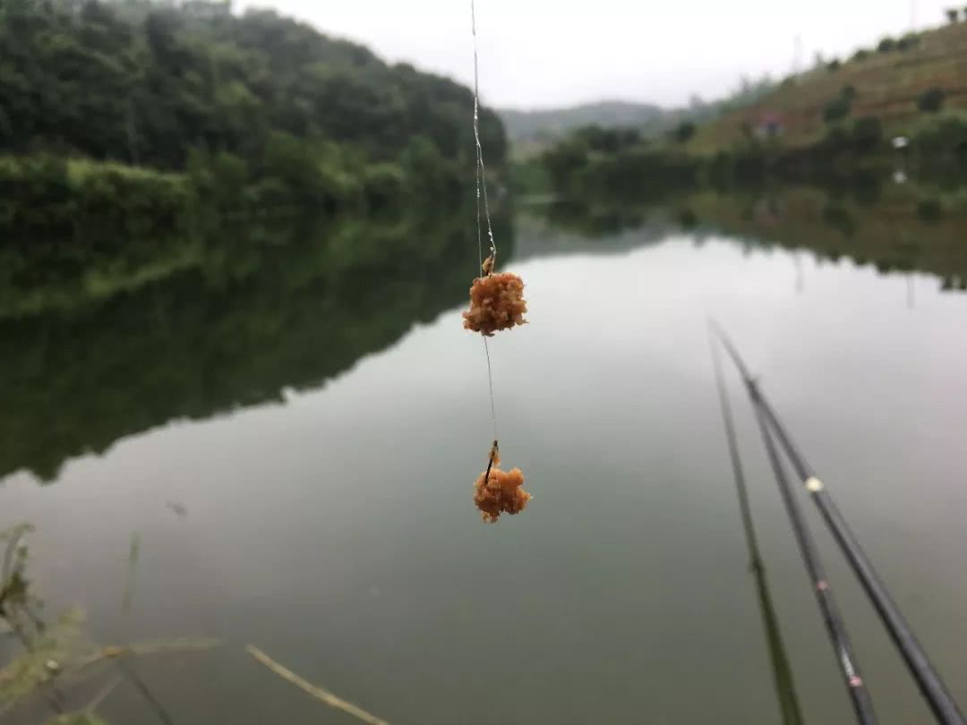 鱼不开口上钩怎么办,夏季有鱼不开口应该怎么钓