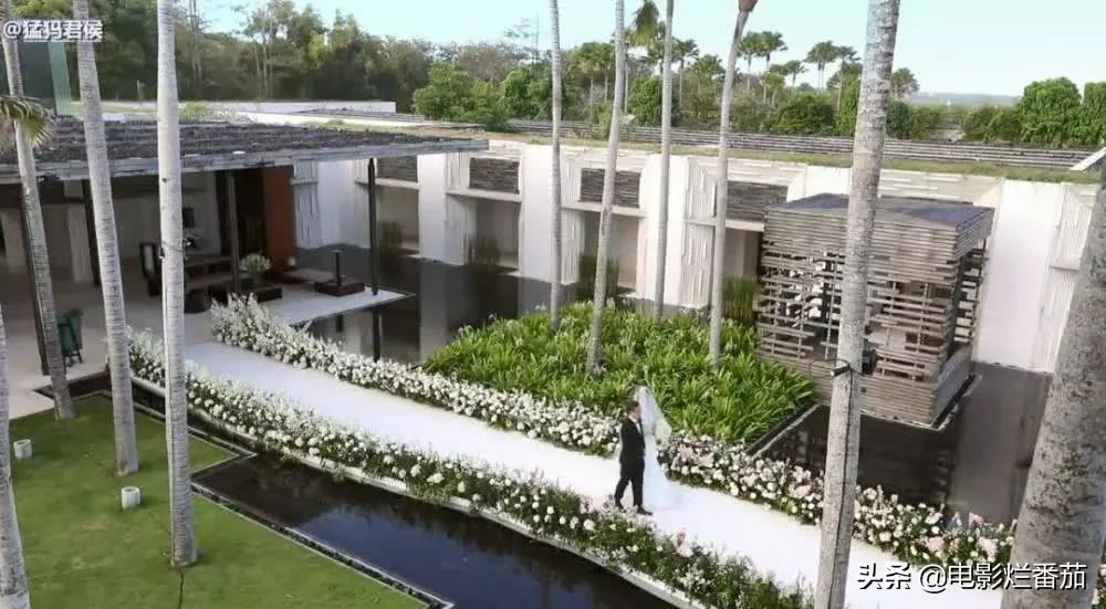 bbc纪录片终极秘密,英国bbc婚礼纪录片