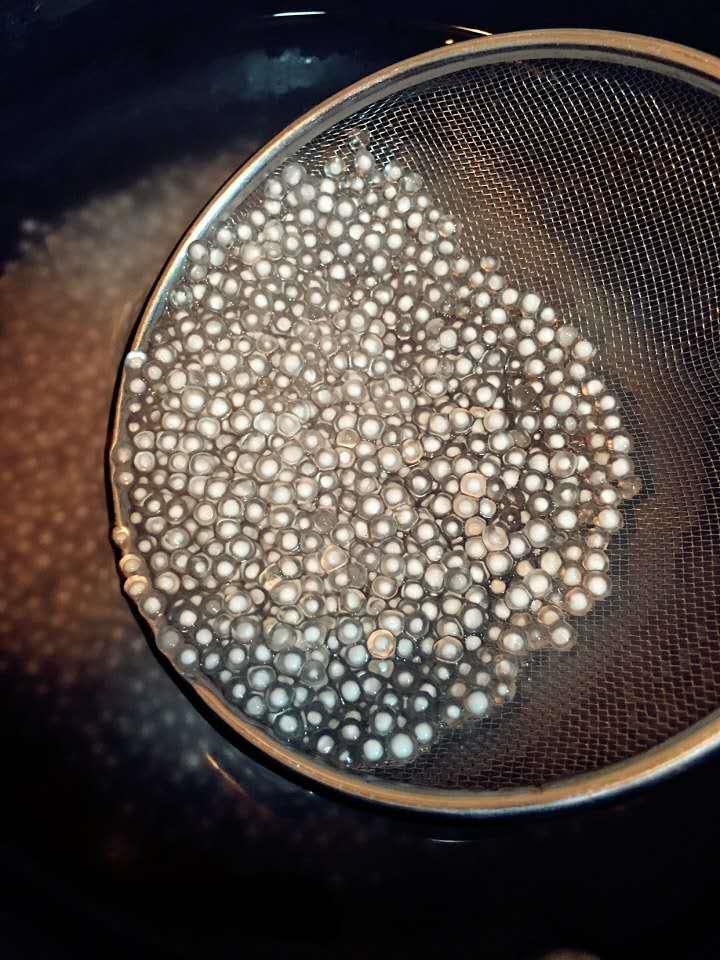 西米好吃,西米口感怎么样