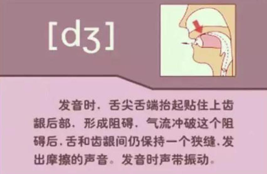 教你如何学英语音标,英语音标新手入门教程