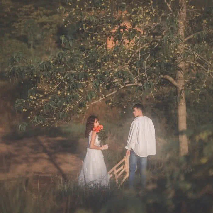 超轻推文:完结/现言/白槿湖大大——考拉小姐与桉树先生