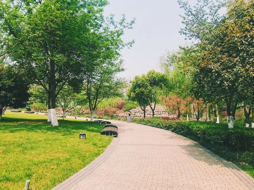 武汉必打卡排行榜,武汉十大打卡地