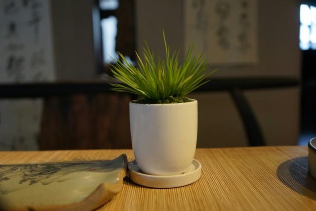 禅意浓浓的菖蒲盆景,最有禅意小绿植是菖蒲