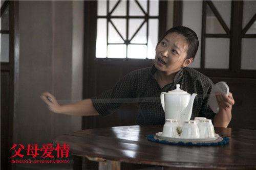 父母爱情评分高的原因,父母爱情电视剧的诟病
