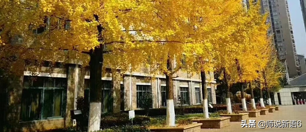 衡阳市最好的十所高中,湖南衡阳市有哪些好的中学