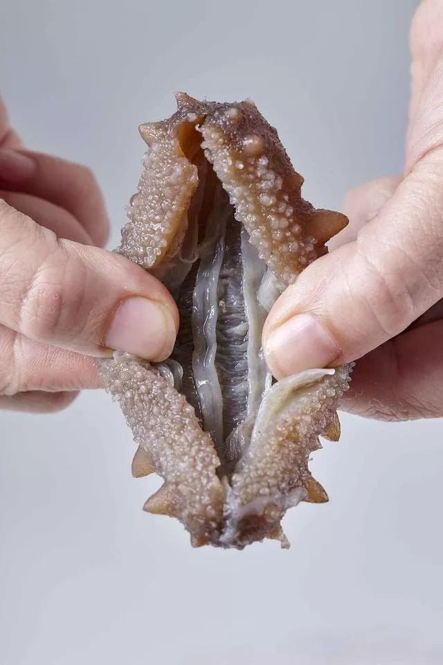 海参辽参刺参哪种参最好,海参刺参跟红参的区别