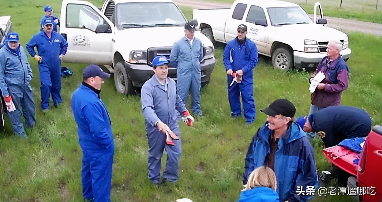 加拿大哪个城市老鼠最多,加拿大没有老鼠的地方
