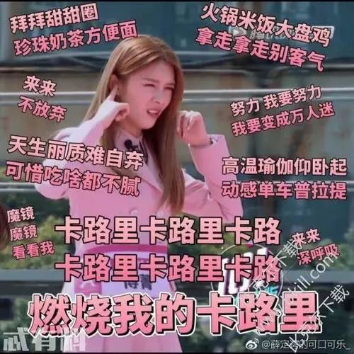 ypl瘦腿裤澳洲哪里卖,ypl瑜伽裤和瘦身裤哪个好
