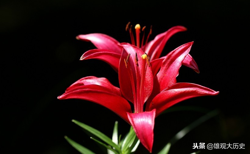 牛啊，写诗也能骂人，这十首讽刺意味的诗歌，第六首发人深省