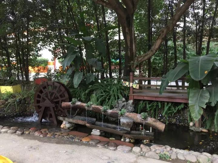 4.13重庆逐梦歌乐山上的“巴学园”探索“世界级乡村幼儿园