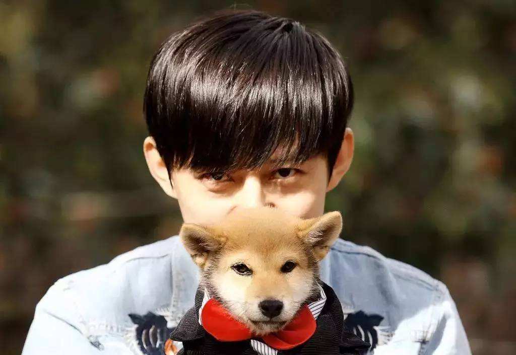 何炅过生日半个娱乐圈都送上祝福,何炅生日半个娱乐圈祝福