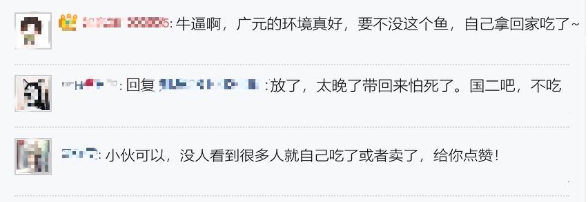 南充钓友钓到娃娃鱼,钓到娃娃鱼放生