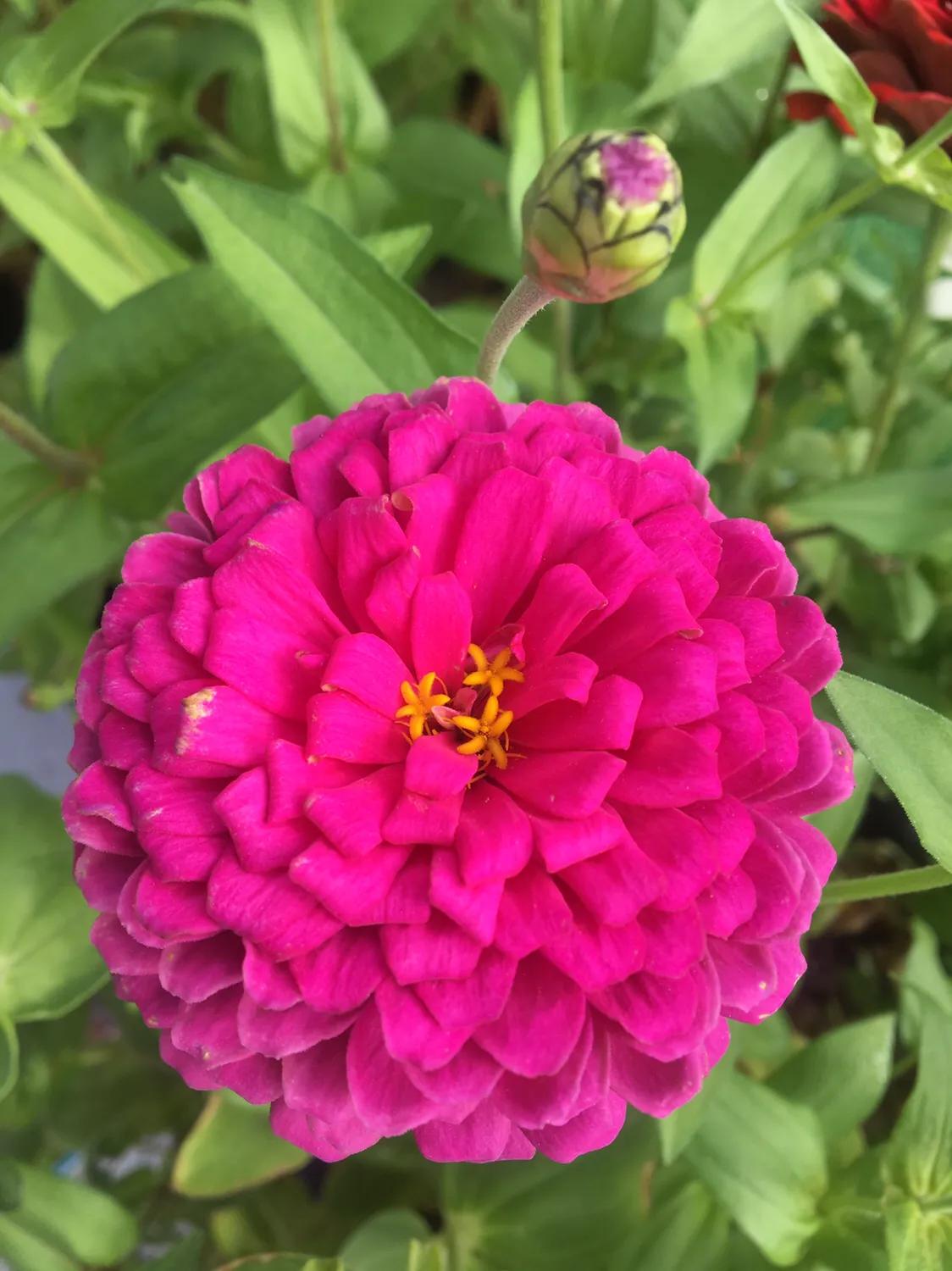 厦门曾厝垵民宿招聘前台,厦门曾厝垵民宿怎么样