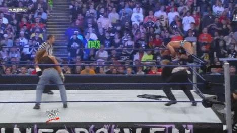 wwe最强的十大终结技,wwe十大最强必杀技