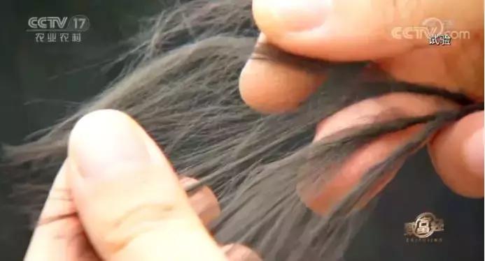 年过花甲,他重回“鬼门关”,抓出上亿黄金财