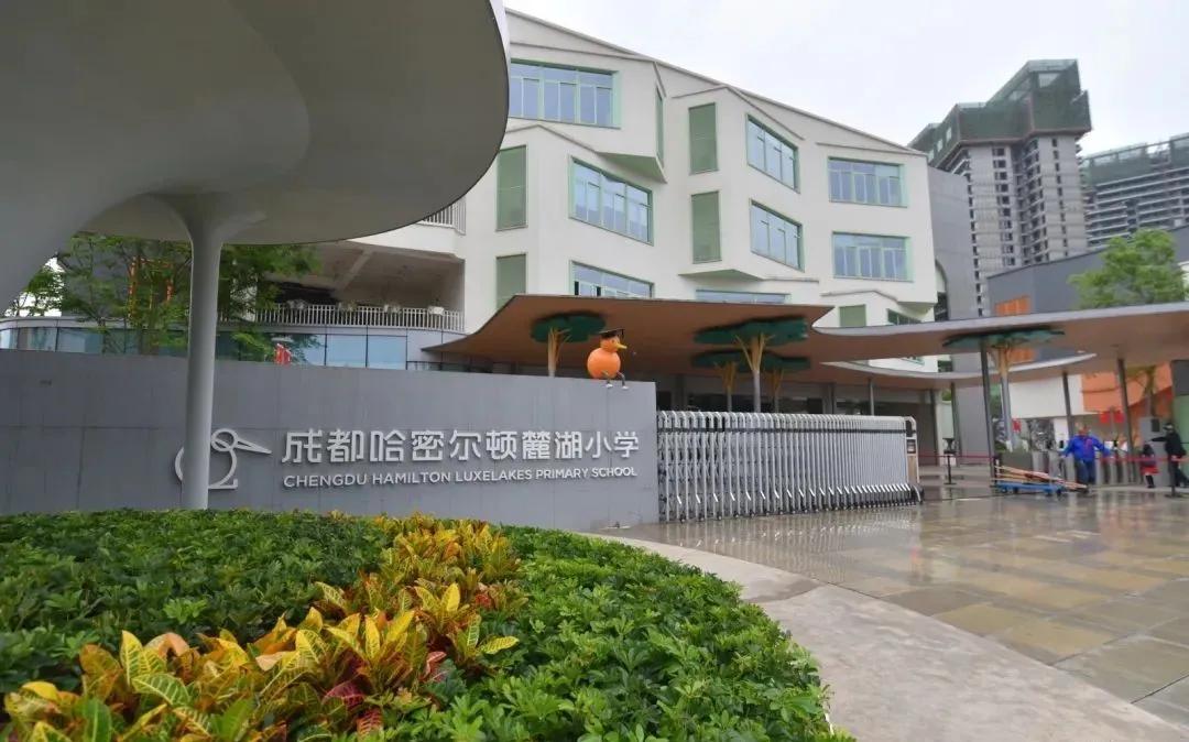 成都天府新区网红学校,实地探访成都最牛小学