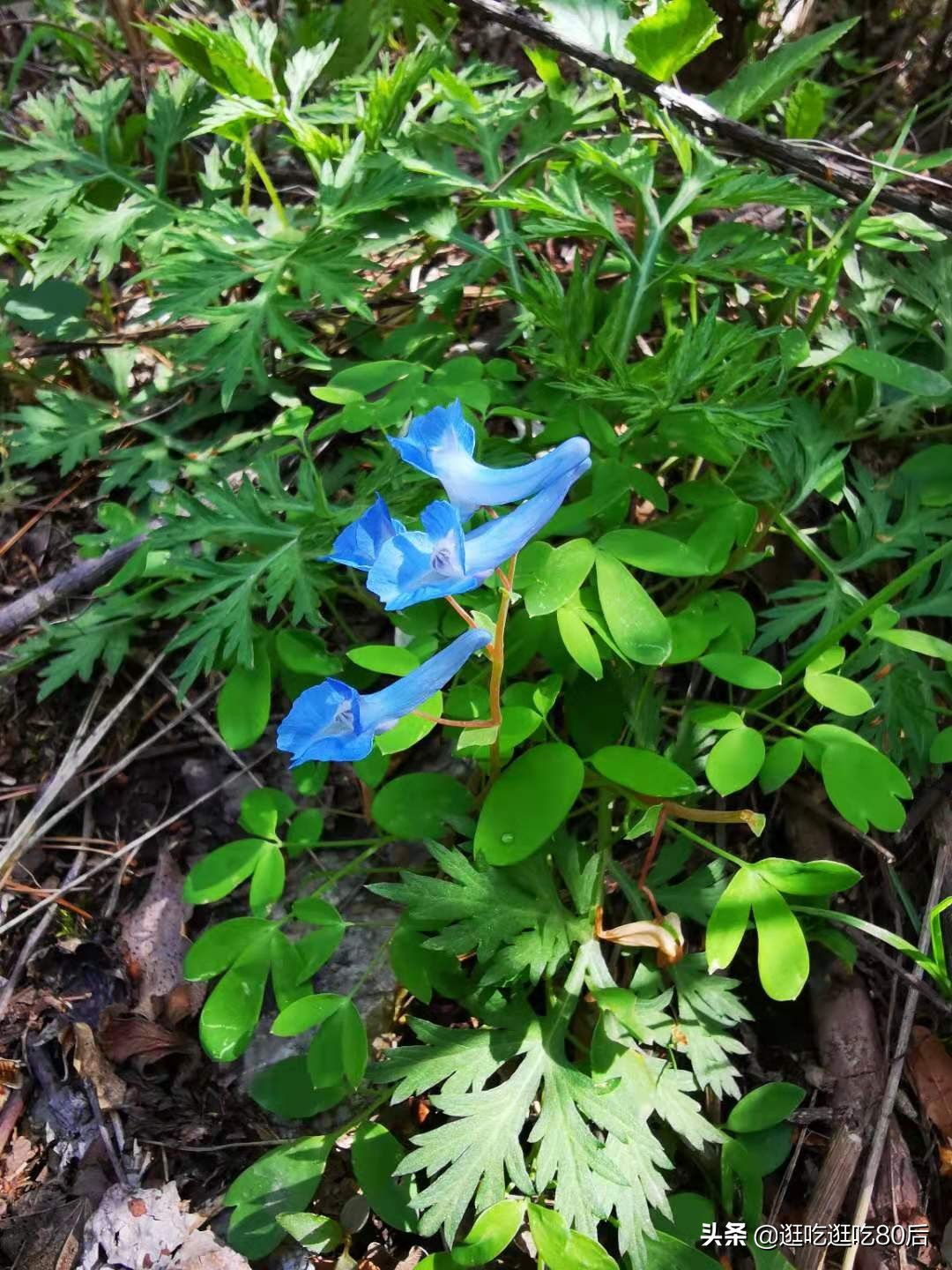 景美人少性价比高的旅游地,西安玉山蓝河游玩路线攻略