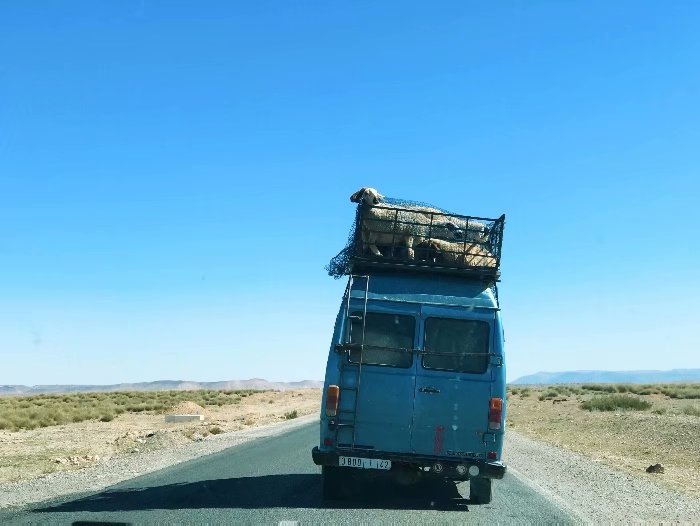 去摩洛哥自由行攻略,摩洛哥游玩自由行攻略