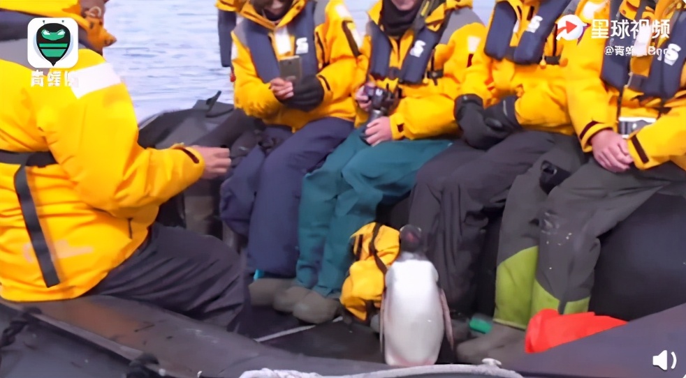 突发心梗医生打什么药,突发心梗急诊医生