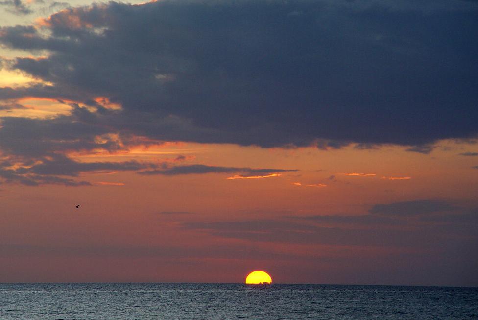 多米尼克，除了是“避税天堂”，还有很多你不知道的冷知识