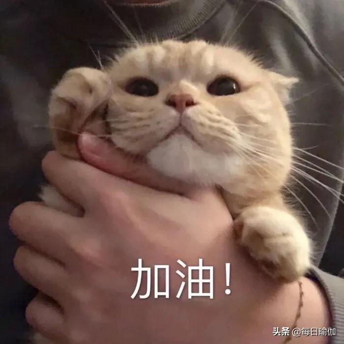 一胎不修复二胎更严重！4招恢复盆底肌