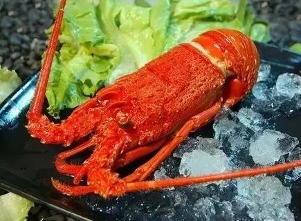 芽庄旅游攻略超详细,芽庄旅游自由行必去的地方