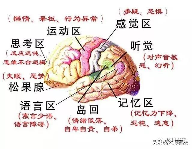 不堪入目！吸毒后的男女如此造孽！*毒冰**竟如此恐怖