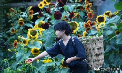 马云农村未来最值钱的东西,马云未来5年农村三大行业