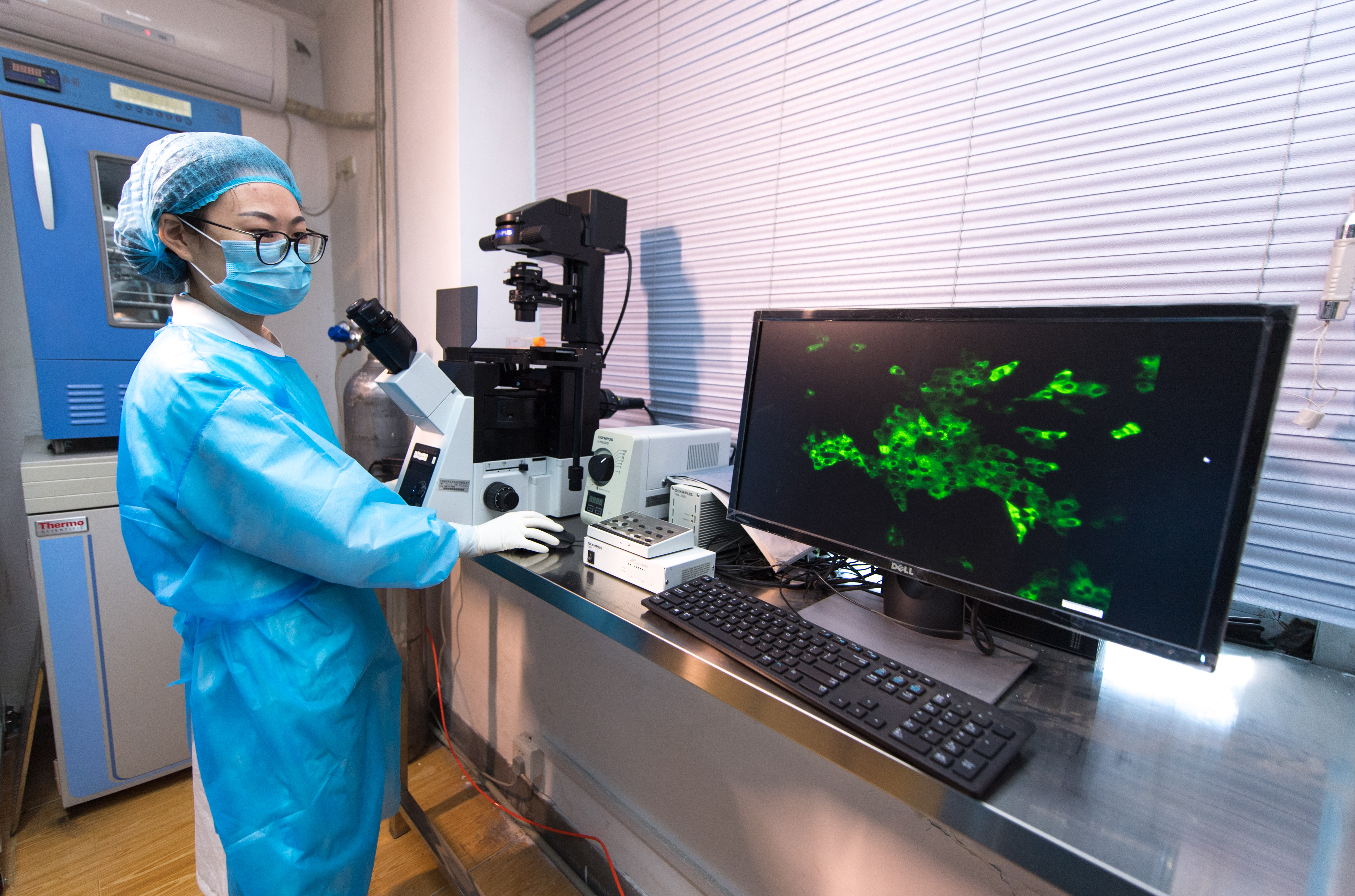 酿酒小曲制作方法,白酒小曲制作详细配方