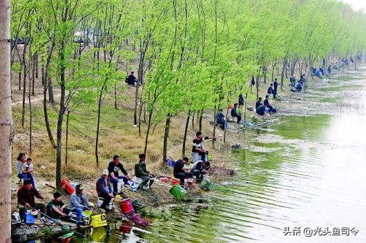 夏季野钓窝里鱼泡很多就是没口,野钓窝子全是小鱼怎么办