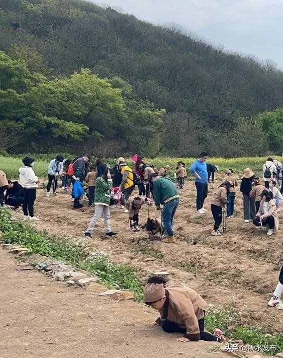 快收藏!溧水两条春日宝藏线路来了~