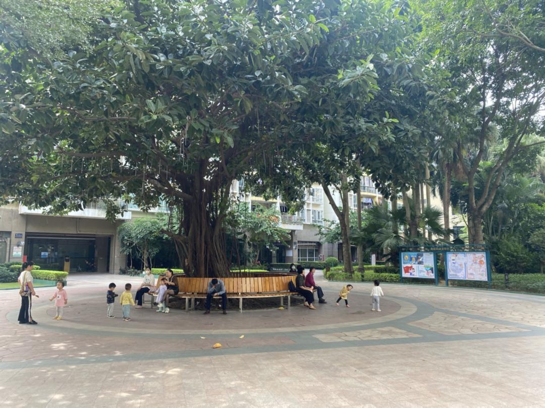 踩盘日记石家庄,踩盘日记第13天