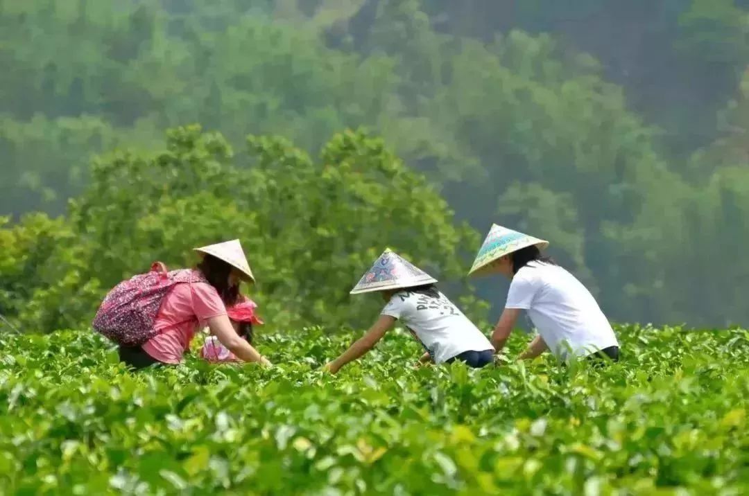 广东省徒步的好地方,广东哪里地方适合周末自驾游