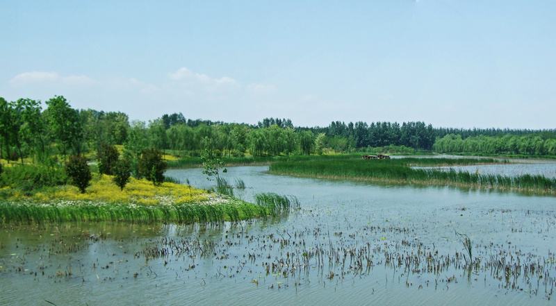汉石桥湿地公园详细攻略,地大人少的地方
