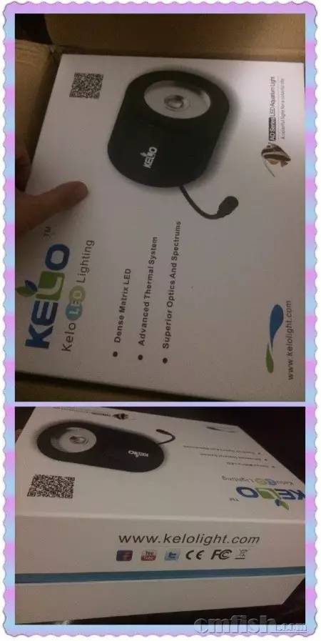 KELO钜彩照明LED水族灯试用活动鱼友评测详情(二)