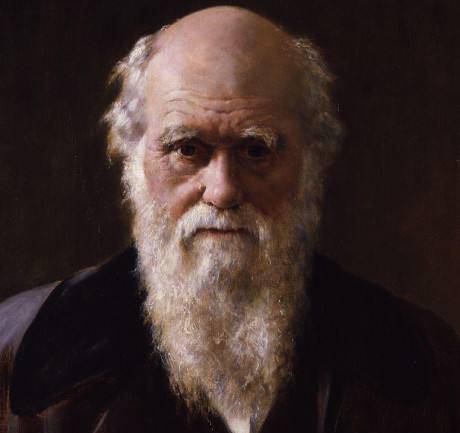 一本书读懂进化论电子版,一本书读懂进化论txt下载