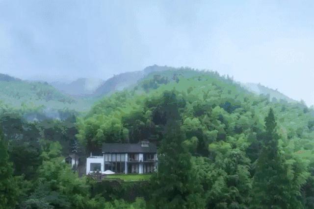 开民宿到底赚不赚钱,开民宿赚钱的老板